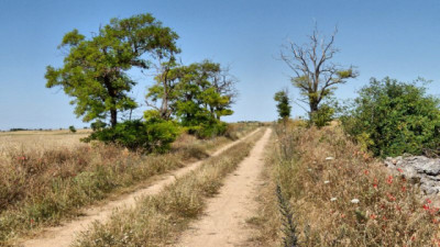 Clima y cultivos: ¿cuánto impacta la falta de lluvias en el agro? - CCA/Agrositio