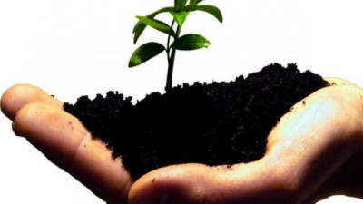 Mercados de carbono: expertos anticipan una nueva etapa marcada por la calidad y los mercados internacionales