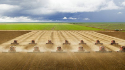 Agro y empresas: entre la incertidumbre global, la presión de costos y el desafío de la eficiencia