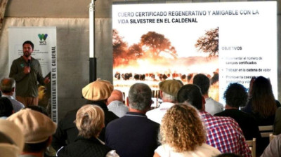 Impulsan en La Pampa prácticas ganaderas innovadoras que regeneran suelos y pastizales