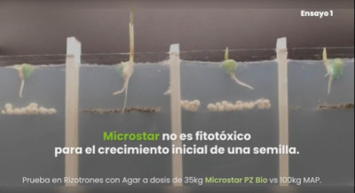 Microstar asegura abastecimiento para la fina y refuerza la nutrición eficiente desde la siembra