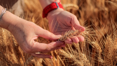 Escenario productivo 2026: suben los costos, mejora el clima y crece el desafío de las malezas resistentes