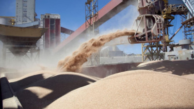 Inscripción para exportadores de granos de cebada, trigo, soja, sorgo y maíz a China