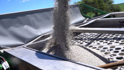 Fertilización: Yara lanza una innovación que combina nitrógeno y micronutrientes en una sola aplicación