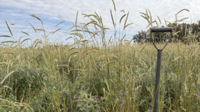 Carbono en agricultura: ¿Cómo pasar de indicadores “políticamente correctos” a decisiones concretas y de impacto?