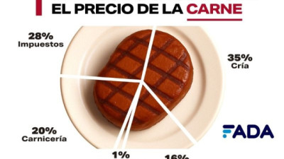 Menos carne, más impuestos: cómo cambia el consumo de los argentinos