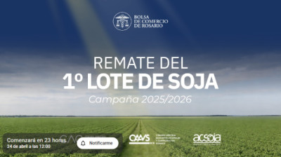 Soja: llega el remate del primer lote y marca el inicio de la campaña comercial
